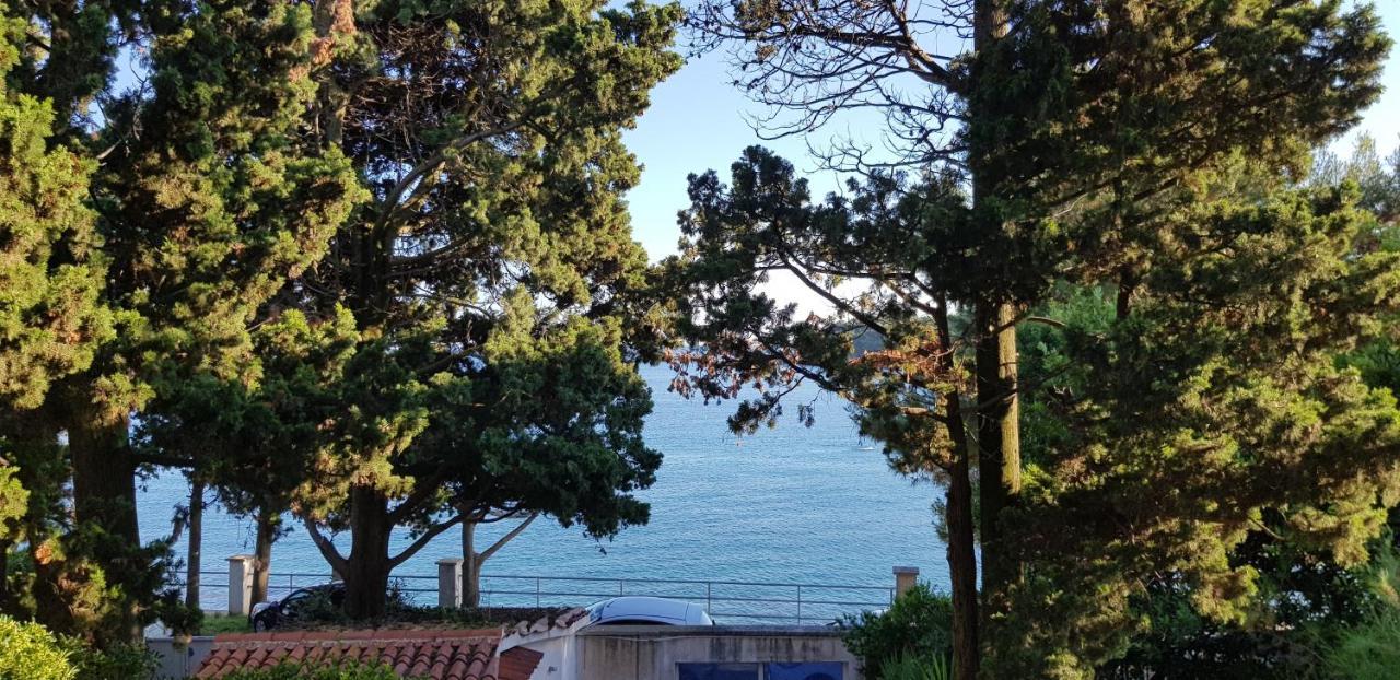 Apartment Mare Azzuro Ii *